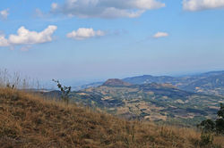 IMG_7121.jpg