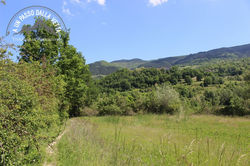 IMG_6025.jpg