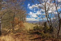 IMG_8153