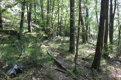 PietraCorva (14)