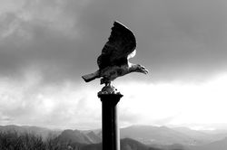 IMG_4100.JPG