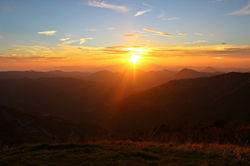 IMG_1634.jpg