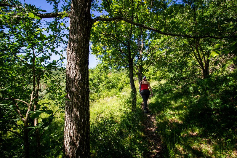 Verso la stalla di Caldirola