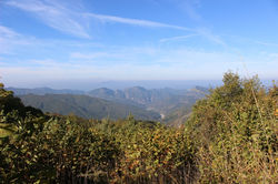 IMG_0902.jpg