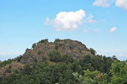 IMG_7221.jpg