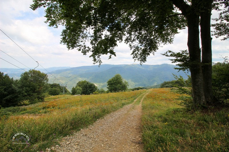 Discesa sulla pista 2