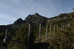 IMG_3380.jpg