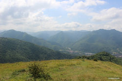 IMG_0687.jpg
