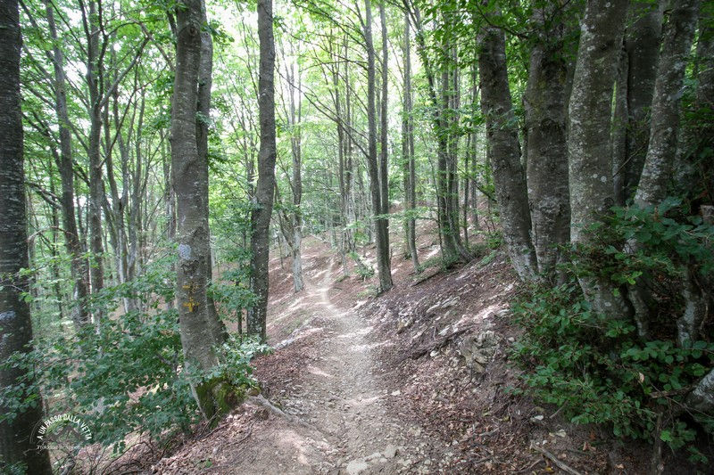 Il vecchio sentiero utilizzato come pista DH