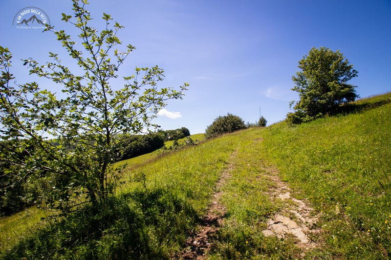L'arrivo sul crinale