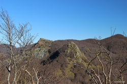 IMG_8321.jpg