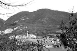 Bagnaria