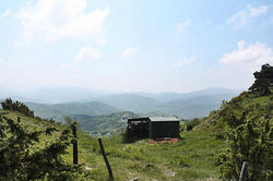 IMG_9901.JPG