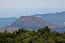 IMG_7387.jpg