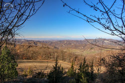 IMG_5034