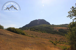 IMG_9876.jpg