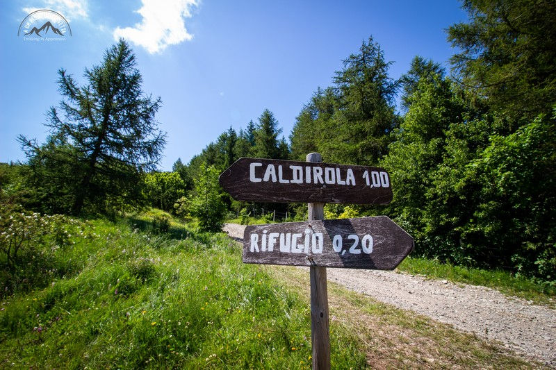 Sulla strada del ritorno