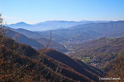 Busalla