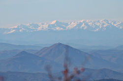 IMG_3063.JPG