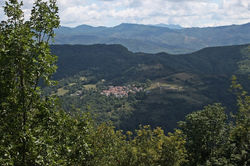 IMG_6399.JPG