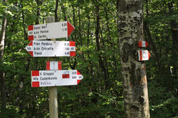 PietraCorva (74)