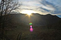 IMG_3571.JPG