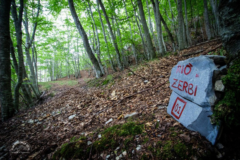 Il sentiero nei pressi del Rio dei Gerbi
