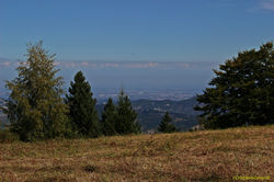 IMG_8937.jpg