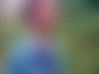 “Hoe Arbres met voedselbossen de toekomst van duurzame landbouw vernieuwt”