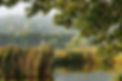 ac8a7a92-44da-4e36-a5d1-a9d9aa8b08d7.JPG