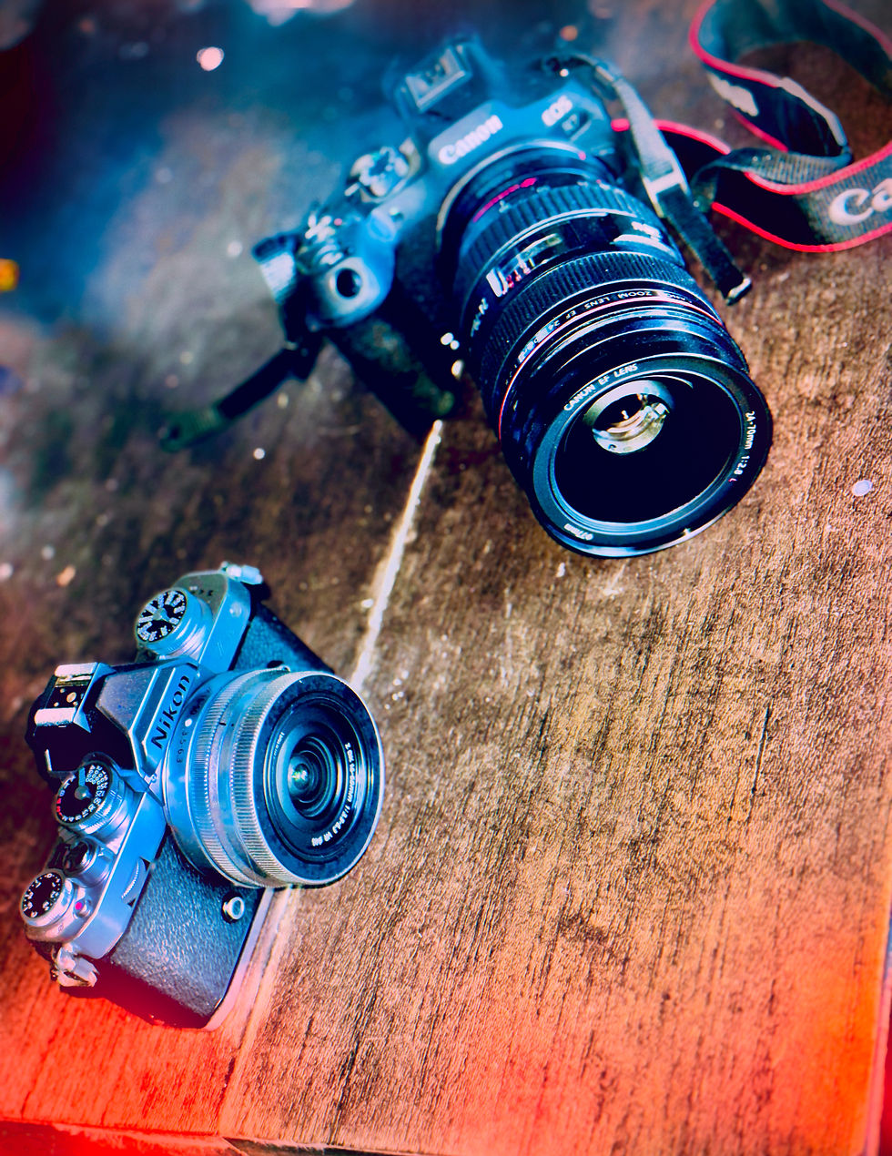 7AEA61D9-0363-482A-8456-77B96D101C8A.jpeg