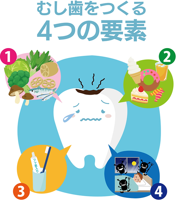 ippan1.png