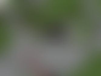 Six Flags México anuncia la llegada del Family Boomerang, una nueva Roller Coaster para toda la familia