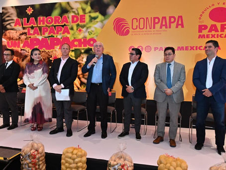 Conpapa busca incrementar el consumo de la papa mexicana