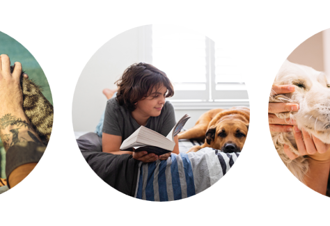 Cuidarlos también es un propósito: humanos responsables, mascotas felices