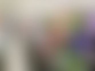 Retail Media toma fuerza en México: alianza entre in-Store Media y H-E-B redefine la experiencia en tienda