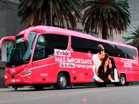 CARAVANA ROSA