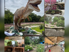 Zooaventuras en Aragón: Recorrido en trenecito, y encuentros con dinosaurios y serpientes