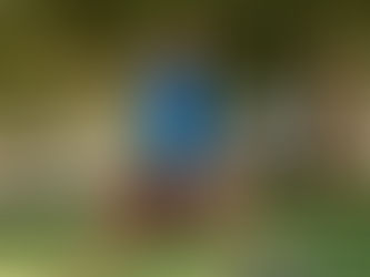 CONVERSE CELEBRA LOS ESTILOS QUE SE HEREDAN… Y LOS QUE NACEN PARA REINVENTARSE