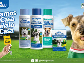 Del Perro Consentido lleva la fiebre del fútbol al ritual más importante para los lomitos: el baño en casa