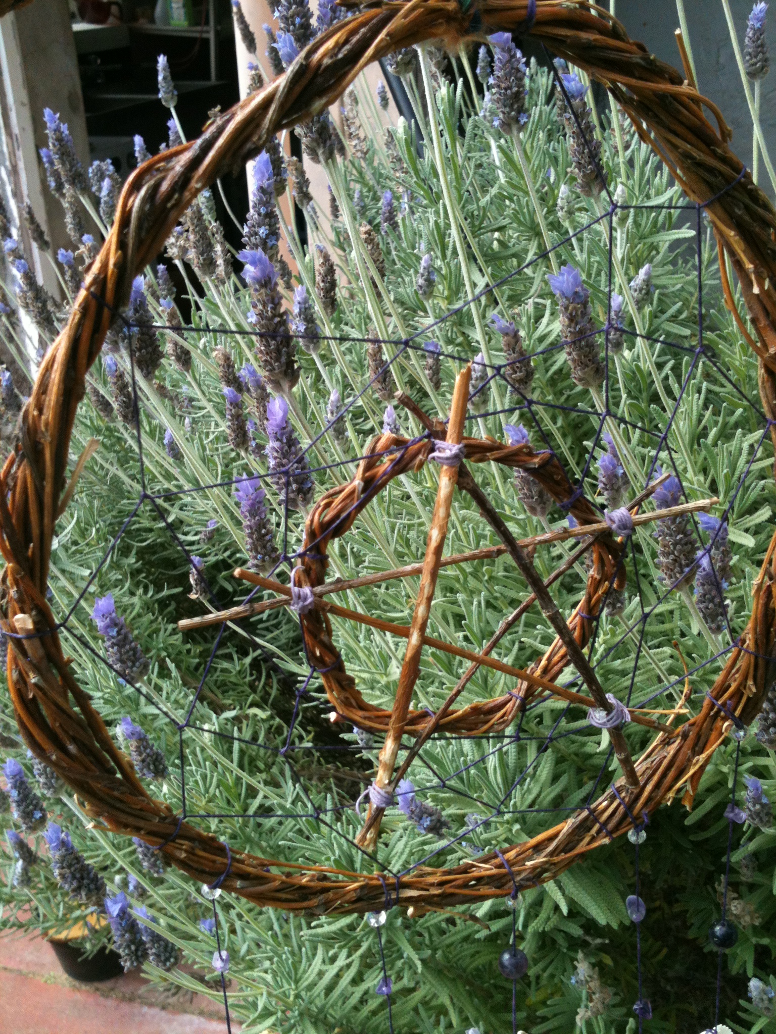 Witch Dreams
