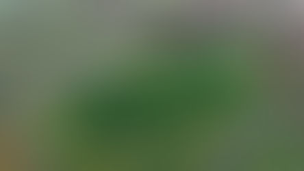 First football matches played at Shinfield sports centre