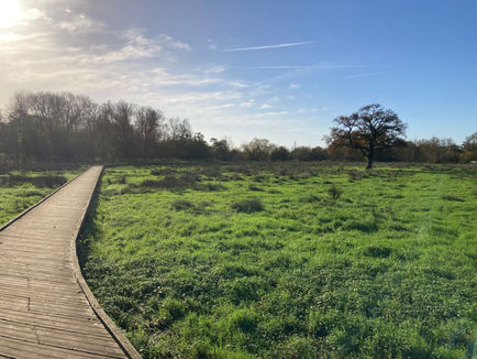 National Meadows Day Walk at Langley Mead