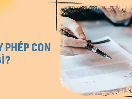 Thủ tục giấy phép con ở Việt Nam.