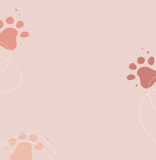 camp4paws-web-2024_home-bg copy.png