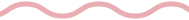 tt-2022_divider pink.png