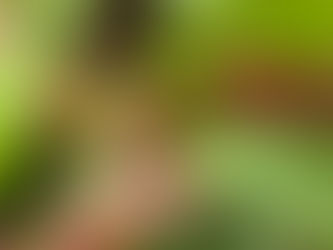 いつもまめながありがたし