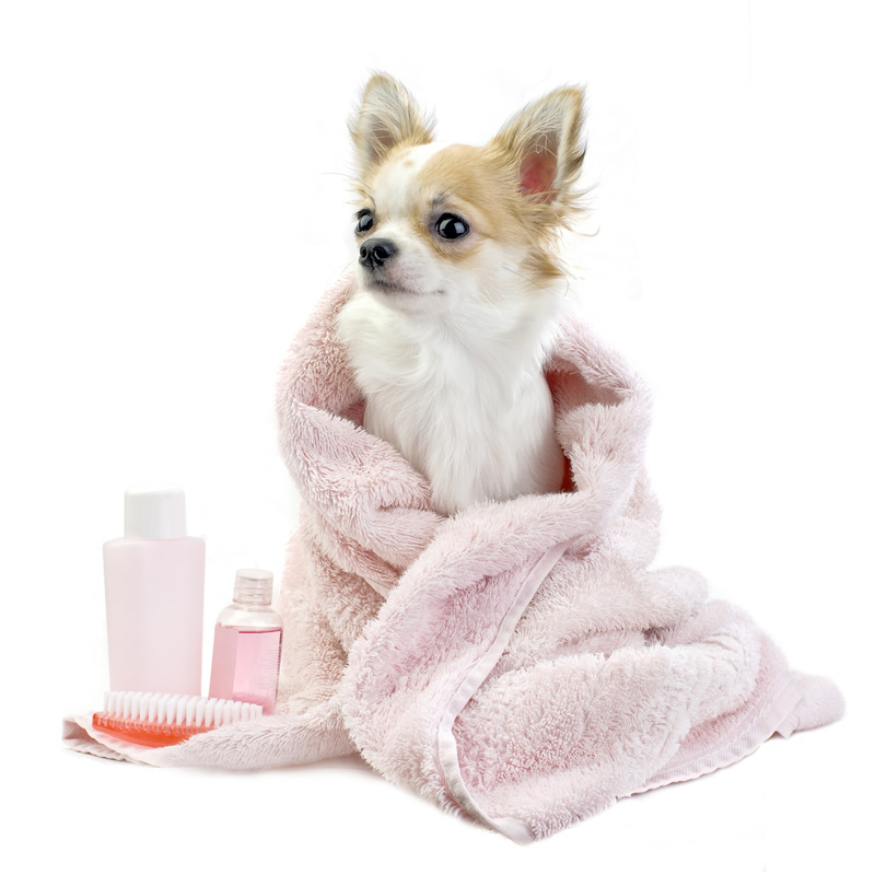 PELUQUERÍA