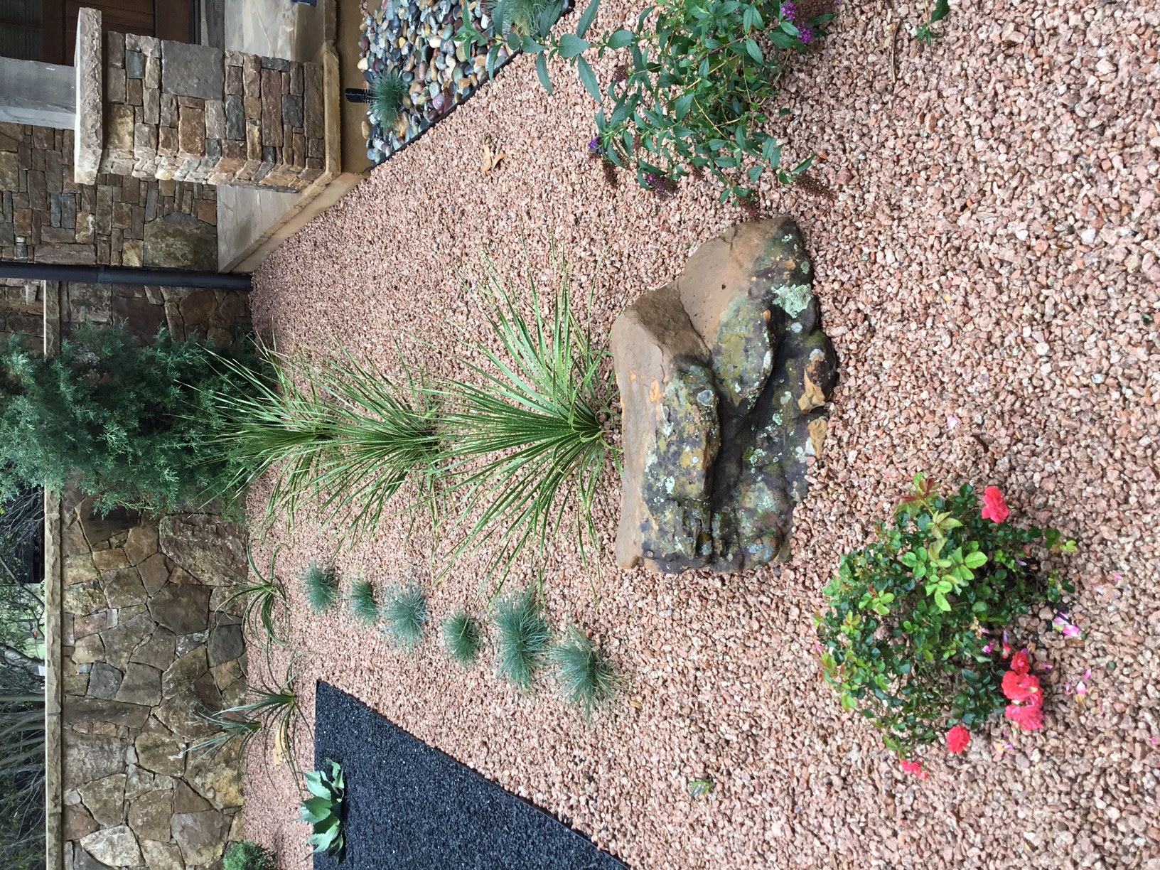 Modern, Drought Tolerant, Landscape Glass Garden by JXC Landscaping (23)