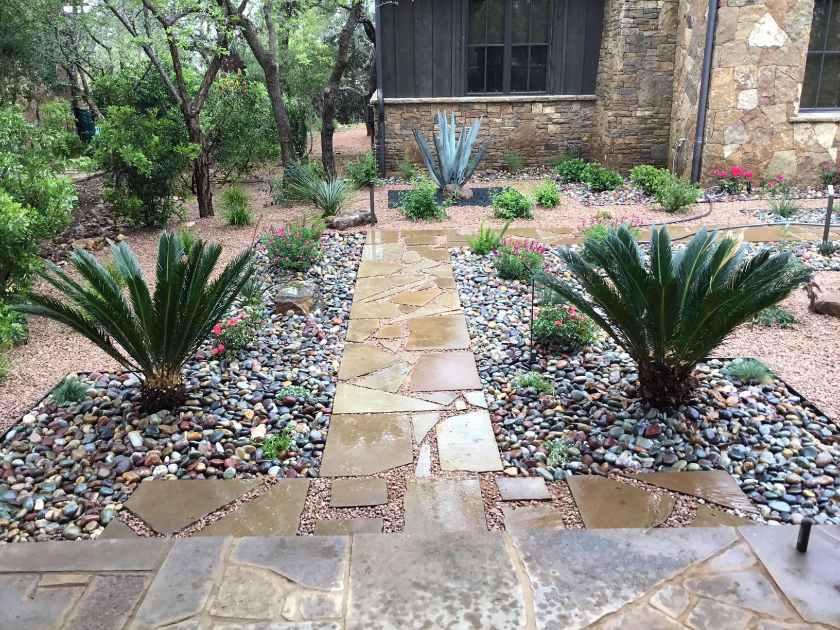 Modern, Drought Tolerant, Landscape Glass Garden by JXC Landscaping (14)